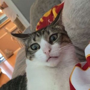 Meet your Posher, Hailey